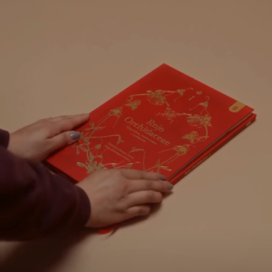 Libro Rojo orchidaceae