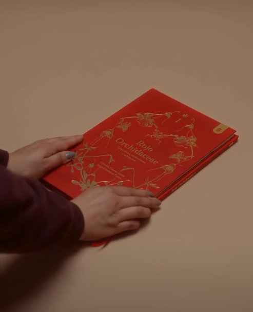 Libro Rojo orchidaceae